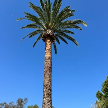J A G S Tree Service - Masonry/Concrete Near Me