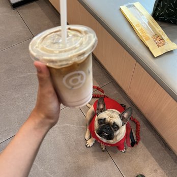 Cotti Coffee - strawberry crema - Coffee & Tea Near Me - San Gabriel, California Cotti Coffee - strawberry crema - Coffee & Tea Near Me - San Gabriel, California