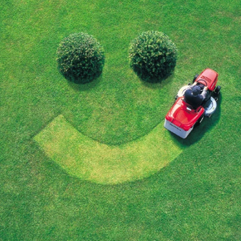 Vad Lawnscape - Lawn Services Near Me Vad Lawnscape - Lawn Services Near Me