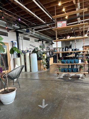 Shotgun House Coffee Roasters by null
