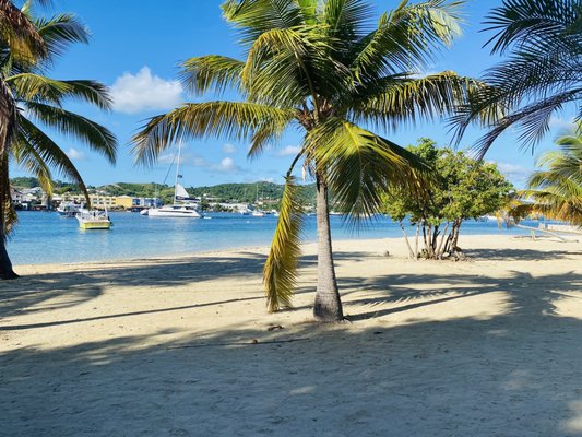 The Hotel on the Cay by null