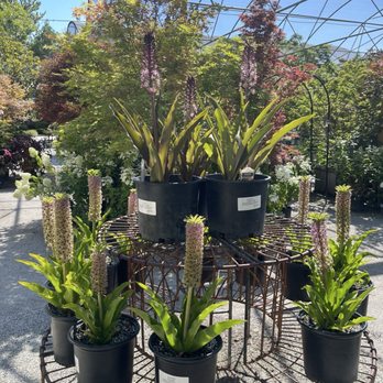 HIGH HAND NURSERY - Updated February 2026 - 709 Photos & 209 Reviews