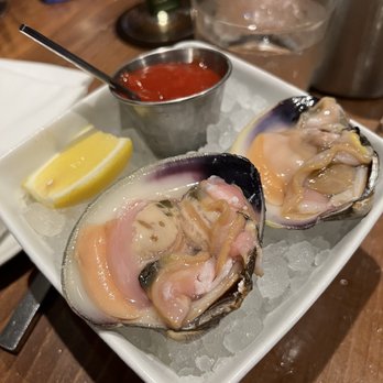 Tonno Gloucester - Cherrystone clams - Italian Near Me - Gloucester, Massachusetts