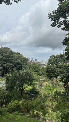 Greenwich Park by null