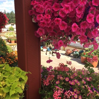 Red Berry Barn - Flowers & Gifts Near Me - Sherwood, Oregon Red Berry Barn - Flowers & Gifts Near Me - Sherwood, Oregon