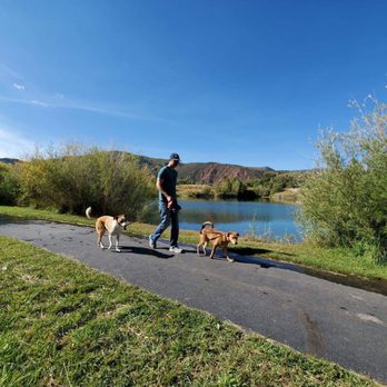 Four Paw Concierge - Four Paw Concierge owner, Dan Holcomb, walking dogs - Dog Walkers Near Me Four Paw Concierge - Four Paw Concierge owner, Dan Holcomb, walking dogs - Dog Walkers Near Me