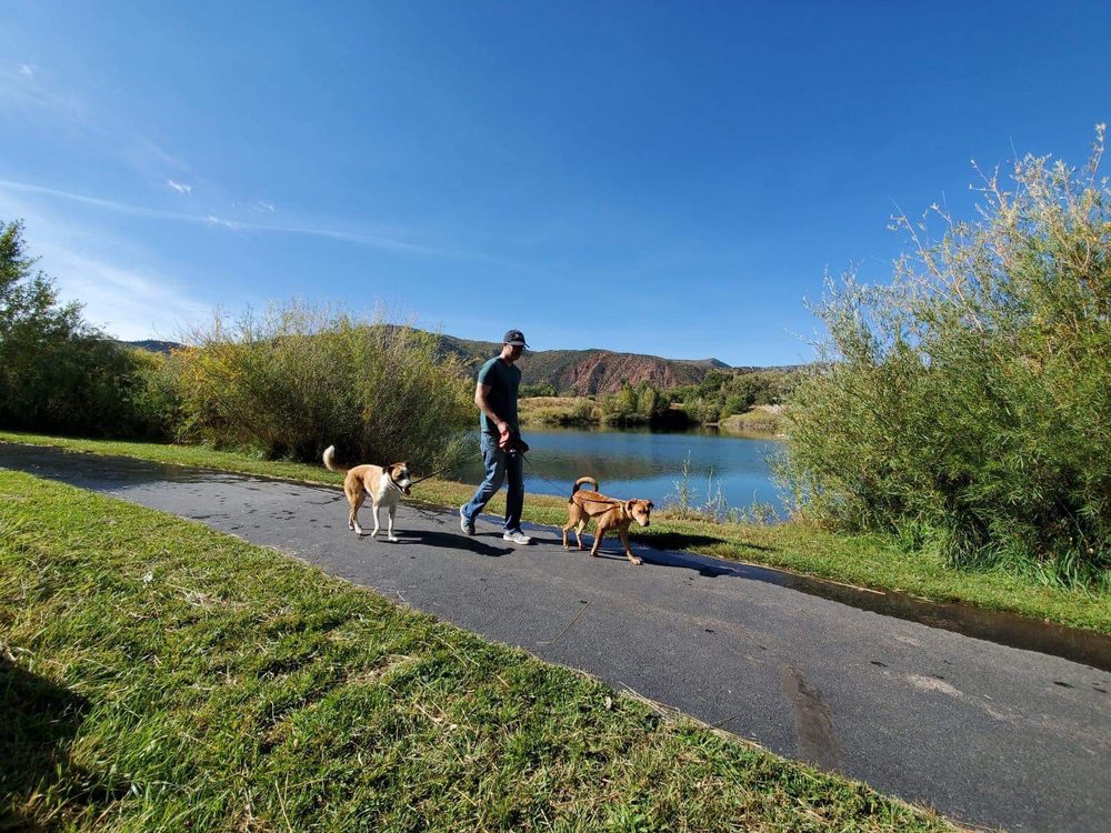 FOUR PAW CONCIERGE 18 Photos Aspen, Colorado Dog Walkers Phone