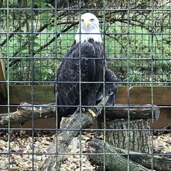 Lehigh Valley Zoo - Zoos Near Me - Schnecksville, Pennsylvania Lehigh Valley Zoo - Zoos Near Me - Schnecksville, Pennsylvania