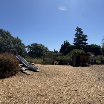 Wylde Provisions - Cafes Near Me - Sebastopol, California