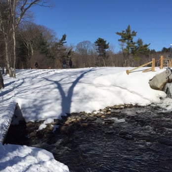 Cat Rock Park - Dog Parks Near Me - Weston, Massachusetts
