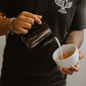 Brew Birds - Counter Culture Coffee - Cafes Near Me - Aldie, Virginia Brew Birds - Counter Culture Coffee - Cafes Near Me - Aldie, Virginia