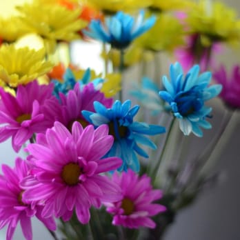 BloomThat - Sweet scented flowers... - Florists Near Me BloomThat - Sweet scented flowers... - Florists Near Me