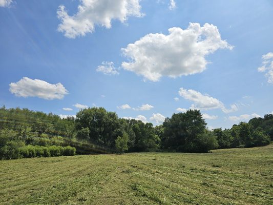 Warbucks Land Clearing & Excavating by null