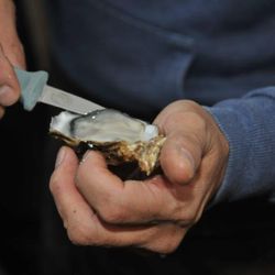 Zilt en Zalig - De oesterman inhuren