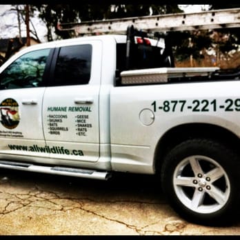 All Wildlife Removal - Ready for a day's work! - Pest Control Near Me - Burlington, Ontario All Wildlife Removal - Ready for a day's work! - Pest Control Near Me - Burlington, Ontario