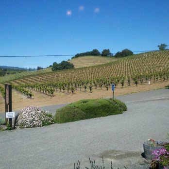 Pedroncelli Winery - Wineries Near Me - Geyserville, California