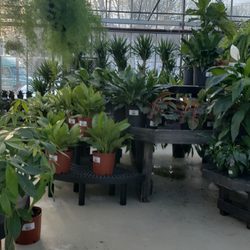 Holland Park Garden Living