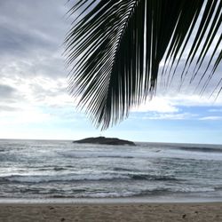 Playa Peñón Amador - Pic taken 04/26/2023 @ 5:04pm