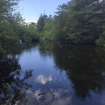 Quogue Wildlife Refuge - View - Parks Near Me - Quogue, New York Quogue Wildlife Refuge - View - Parks Near Me - Quogue, New York