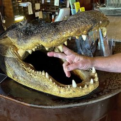 Rod And Gun Club - Try some gator!  Better than chicken...