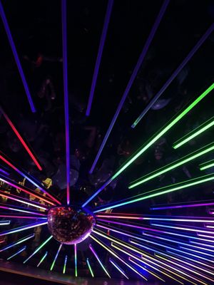 Kiss Kiss Bang Bang by null