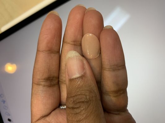 Janete's Hair Studio by null