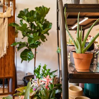 BOSK - Nurseries & Gardening Near Me - Portland, Oregon