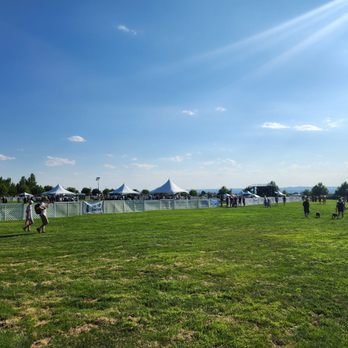 Heights Summerfest - Festivals Near Me - Albuquerque, New Mexico