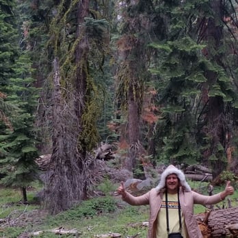 Cyndi's Snowline Lodge - Hiking nearby - Hotels Near Me - Dunlap, California