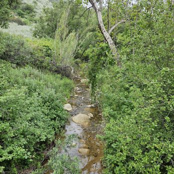 Black Star Canyon Trail - Creek on the path Black Star Falls - Hiking Near Me - Orange, California