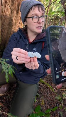 Forage Seattle by null