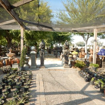 Lomeli Gardens - Nurseries & Gardening Near Me - Lodi, California Lomeli Gardens - Nurseries & Gardening Near Me - Lodi, California