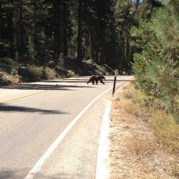Lodgepole Campground - Campgrounds Near Me - Three Rivers, California Lodgepole Campground - Campgrounds Near Me - Three Rivers, California