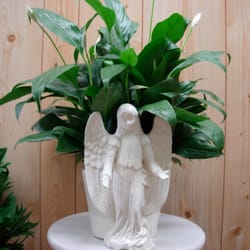 Charleston Cut Flower - Angel planter with peace lilly.