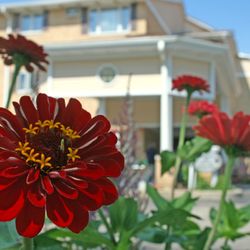 Golden Years of Walworth - Natural beauty is purposefully cultivated throughout the campus.