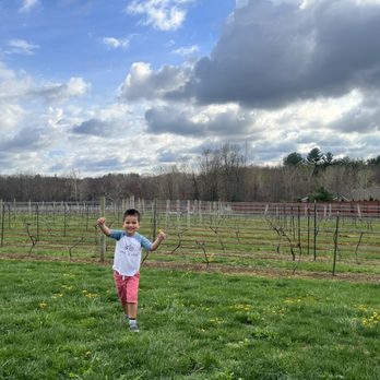 Brignole Vineyards - Beautiful day! - Wineries Near Me - East Granby, Connecticut Brignole Vineyards - Beautiful day! - Wineries Near Me - East Granby, Connecticut