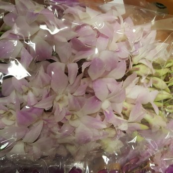 Petals for Less - Florists Near Me - Edmonton, Alberta Petals for Less - Florists Near Me - Edmonton, Alberta