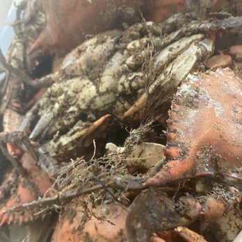 Bill's Seafood - Dry and must've been reheated or overcooked, never again!!!! - Seafood Markets Near Me - Perry Hall, Maryland Bill's Seafood - Dry and must've been reheated or overcooked, never again!!!! - Seafood Markets Near Me - Perry Hall, Maryland