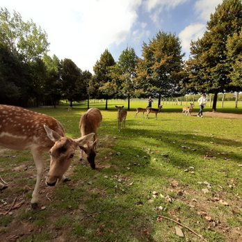 Tierpark Wismar - Zoos Near Me - Wismar, MV Tierpark Wismar - Zoos Near Me - Wismar, MV