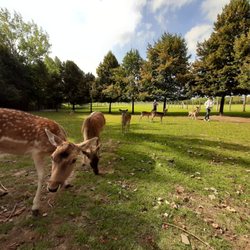 Tierpark Wismar