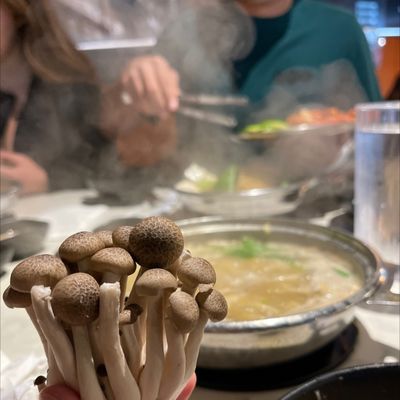 BROTH Shabu Shabu by null
