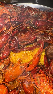Red Crab by null