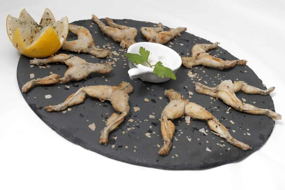 Platos Rotos