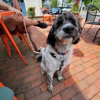 Hartford Baking - dog friendly outside - Coffee & Tea Near Me - Farmington, Connecticut Hartford Baking - dog friendly outside - Coffee & Tea Near Me - Farmington, Connecticut