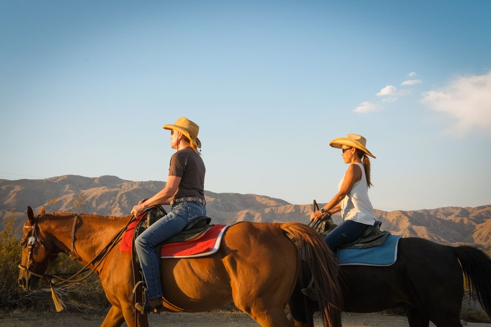 Native Horsemanship Logo