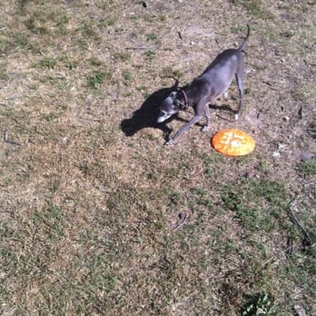 Bark Park - Bocce Ball - Dog Parks Near Me - Georgetown, Texas