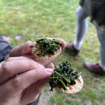 No Taste Like Home - Food Tours Near Me
