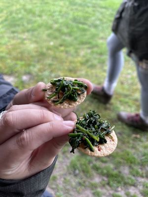 NO TASTE LIKE HOME - Updated March 2025 - 79 Photos & 55 Reviews