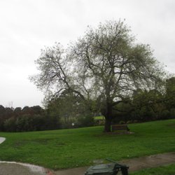 Oldis Gardens - Park