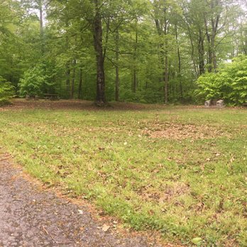 Mongaup Pond Campground - B67 look in from B66 which is right next to it. Not separated by any trees or anything. - Hiking Near Me - Livingston Manor, New York Mongaup Pond Campground - B67 look in from B66 which is right next to it. Not separated by any trees or anything. - Hiking Near Me - Livingston Manor, New York